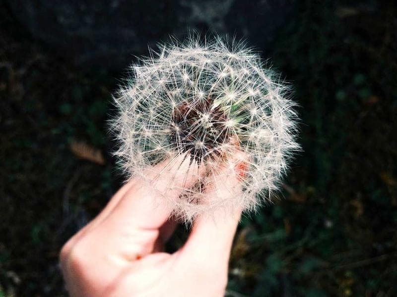 Events That Move People